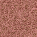 leopard pattern texture skin animal fur print cheetah fabric wild tiger brown seamless cat wildlife nature jaguar Royalty Free Stock Photo